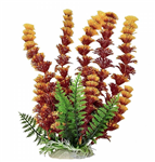 Aquatop Cabomba W/Orangish Tip Plant 6"