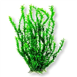 Aquatop Light Green Med. Leaf Plant 25"