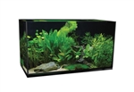 Aquatop Forza 44g Rectanular Bundled Tank Kit (35" x 17.5" x 17.25")