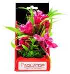 Aquatop Vibrant Passion Rose Plant 6"