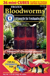 Bay Brand FROZEN Bloodworms 50g Cube