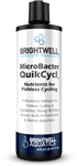 Brightwell MicroBacter QuikCycl 125mL