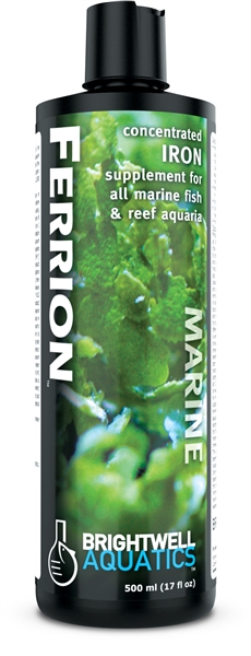 Brightwell Ferrion-Liquid Iron Supplement 500 ML