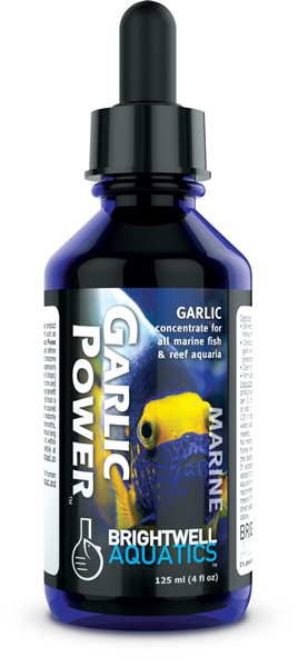 Brightwell Garlic Power - Concentrated Garlic Supplement 60mL