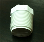 PVC Threaded Plug 1"  Male Thread