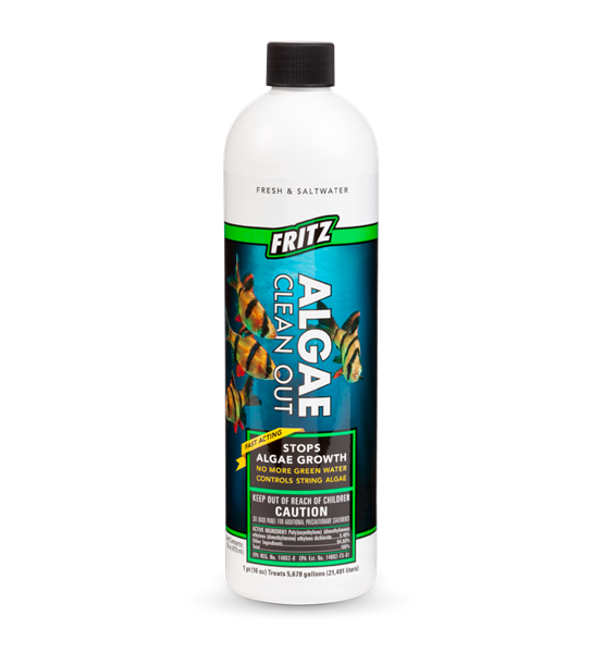 Fritz Algae Clean Out 16 Oz.