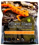 Galapagos Pillow Moss 4qt