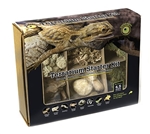 Galapagos Terrarium Starter Kit Arid Environment