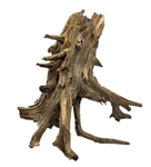 Galapagos Driftwood Hollow Tree Root 12"-16"