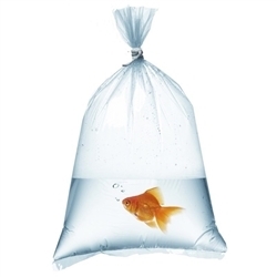 Fish Bags 6x16 - 3 mil  1000/Box