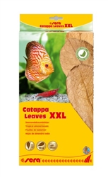 Sera Catappa Leaves XXL 32cm 10 pcs