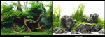 Seaview Greenspike / Amazonia 18" x 50' Double Sided Background