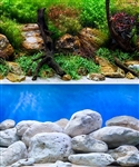 Seaview Aqua Garden/Brightstone 24"x50' Double Sided Background