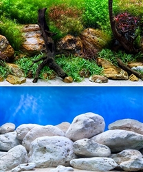 Seaview Aqua Garden/Brightstone 24"x50' Double Sided Background