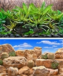 Seaview Tropical Terrarium / Desert Sky 24"x50' Double Sided Background