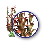 Weco Plant Red Hygrophilia 9"