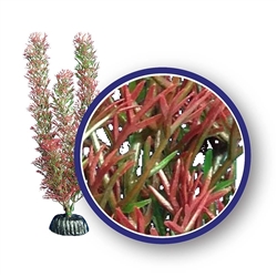 Weco Plant Red Foxtail 9"