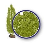 Weco Plant Green Foxtail 9"