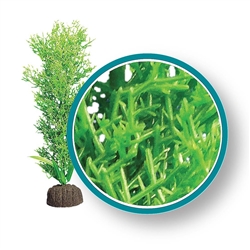 Weco Plant Bushy Kelp 9"