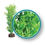 Weco Plant Bushy Kelp 12"