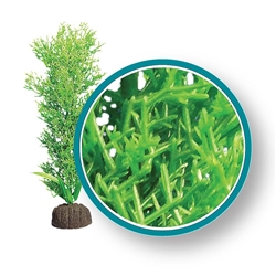 Weco Plant Bushy Kelp 12"