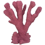 Weco Cats Paw Rose - Medium