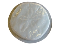 Sand Dollar Concrete Mold 1255