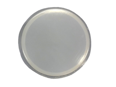 12in Round Concrete Stepping Stone Mold 2043