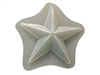 Star Soap Mold 4540