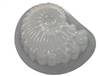 Seashell Plaster or Concrete mold 7206