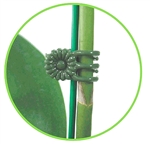 package of 20 daisy clips to secure plants to a stake.