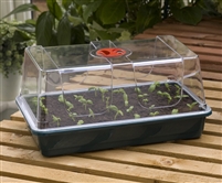 Deluxe Propagator