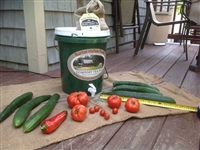 Organic compost tea brewing kit.