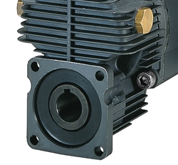 AR Diaphragm Medium-pressure Pump w/ 3/4â€ Shaft Gear Box