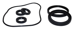 AR2188 OIL SEAL KIT FOR AR RSV PUMPS