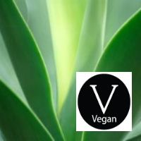 Aloe Vera Gel Base - All Natural