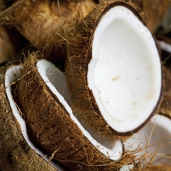 Coconut Aroma - Oil Based