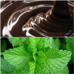 Chocolate Mint  Aroma - Oil Based