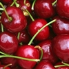 Cherry Flavor / Aroma - Oil Based