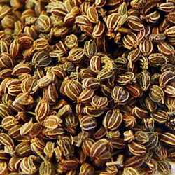 Celery Seed Essential Oil