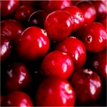Cranberry Extract - Water Based