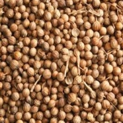 Coriander Seed Whole<br>16 oz Net Wt.