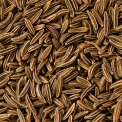 Caraway Seed Essential Oil