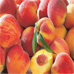 Peach Aroma - Oil Based