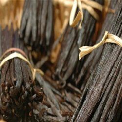 Vanilla 5th Dark Oil