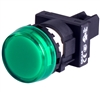 Deca 22 mm Green LED Pilot Lamp, Marking Plate Head, 110V