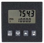 Red Lion C48TS003 Panel Meter, Single Preset Timer