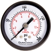 DuraChoice PA158B-200 Dry Utility Pressure Gauge, 1-1/2" Dial