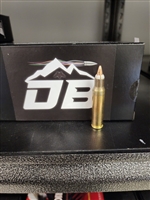 308 SABOT 55GR 20 COUNT