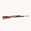 .22 LR Scoped Semiautomatic Rimfire Rifle